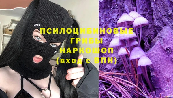 героин Алексин