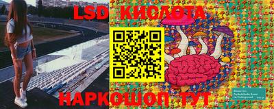 apvp Донской