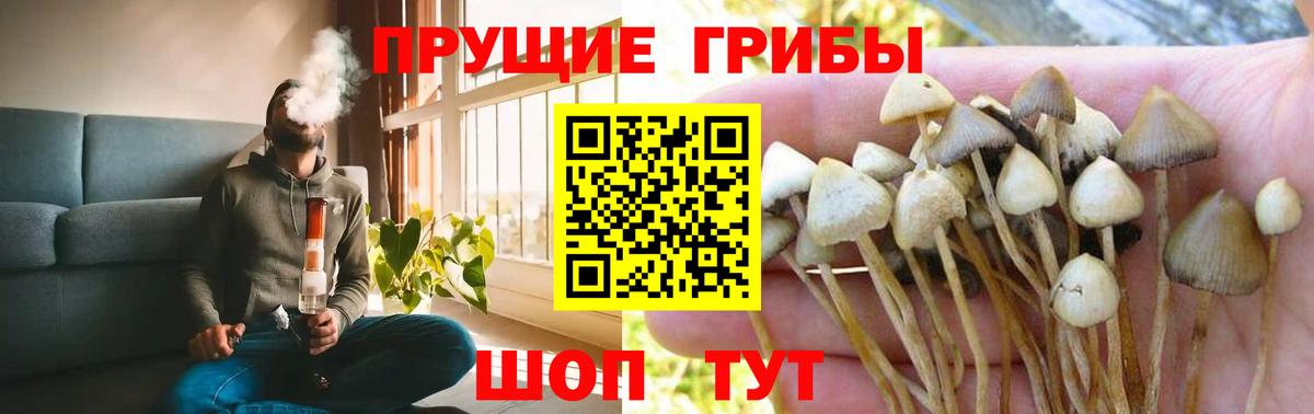 Галлюциногенные грибы ЛСД  Галлюциногенные грибы Psilocybine cubensis  Нурлат  Вход с VPN 